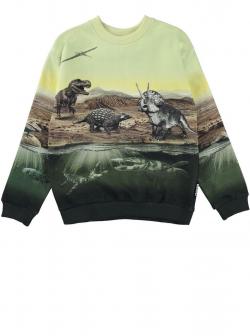 Molo Sweatshirt Miksi Dino Earth
